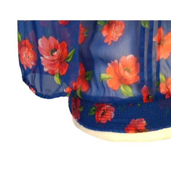 Hollister Sheer Floral Blouse, See Through Top, Button Up, Size Large, Blue with - Picture 7 of 11